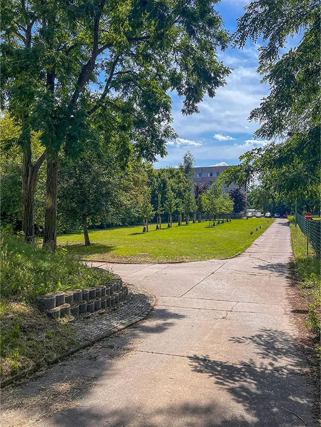 Grünfläche mit Bäumen und Fußweg. Juri Gagarin Ring im Wohngebiet.