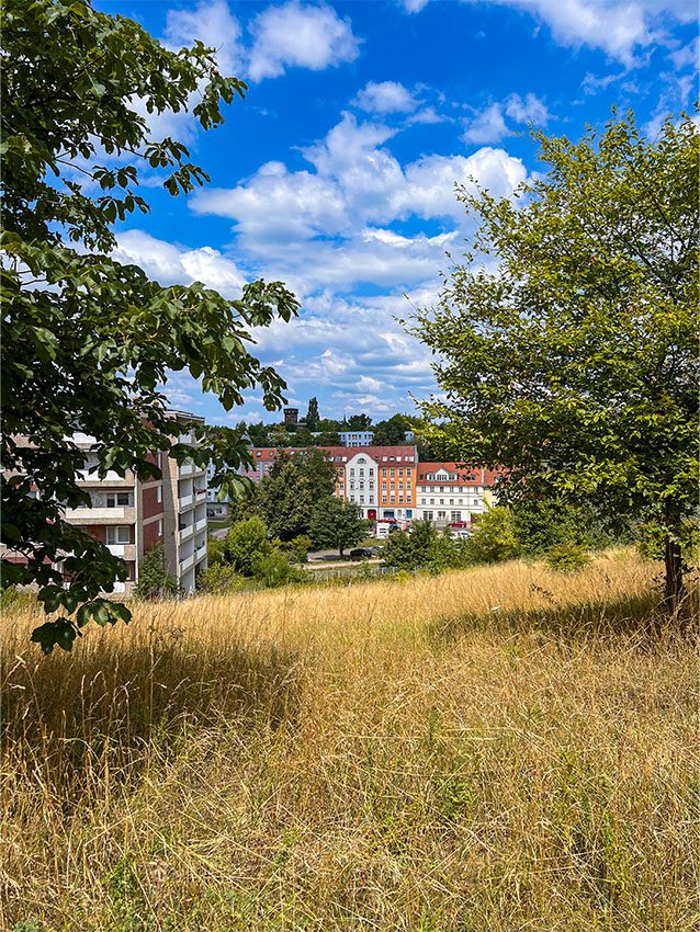 Neuberesinchen: Blick über ein Feld auf Gebäude unter blauem Himmel mit Wolken.