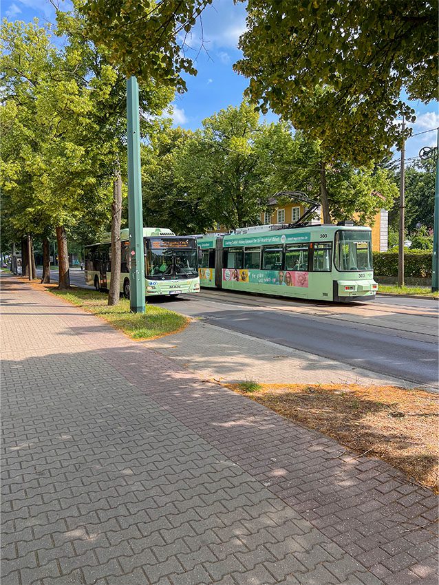 Grüne Straßenbahn und Bus stehen auf der Straße, umgeben von Bäumen.