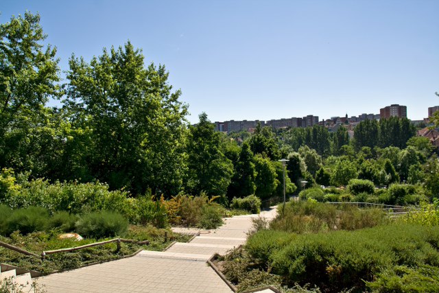 Mieten Nord Umgebung: Blick über grüne Hügel mit Bäumen und Sträuchern, im Hintergrund Gebäude unter blauem Himmel.