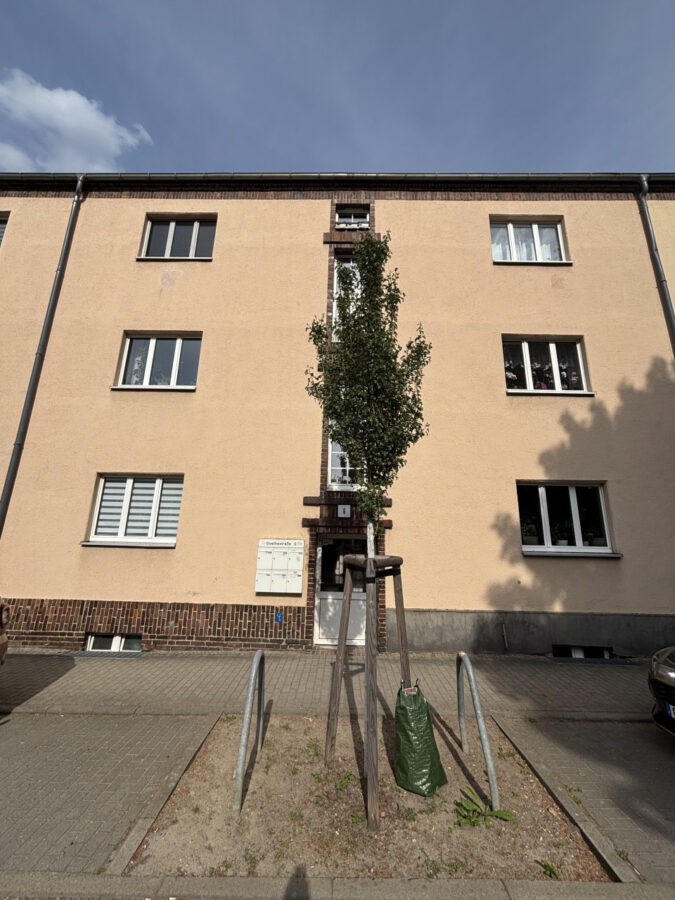 Detailansicht